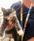 Veterinary Lanyard single